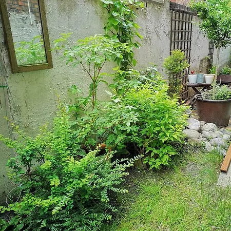 Homelike Apartman Gdańsk